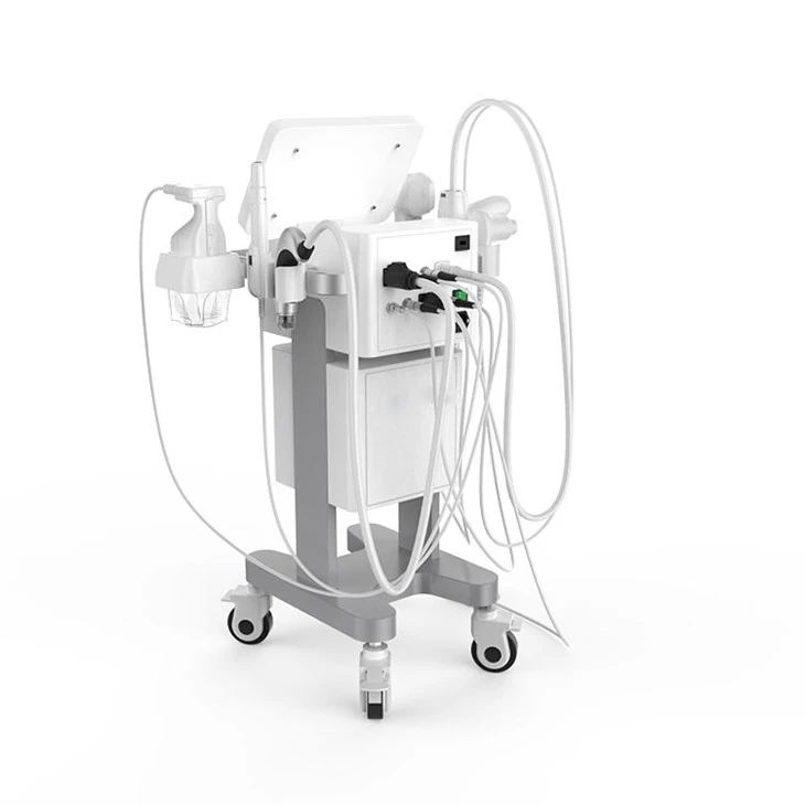 9d hifu machine (1)